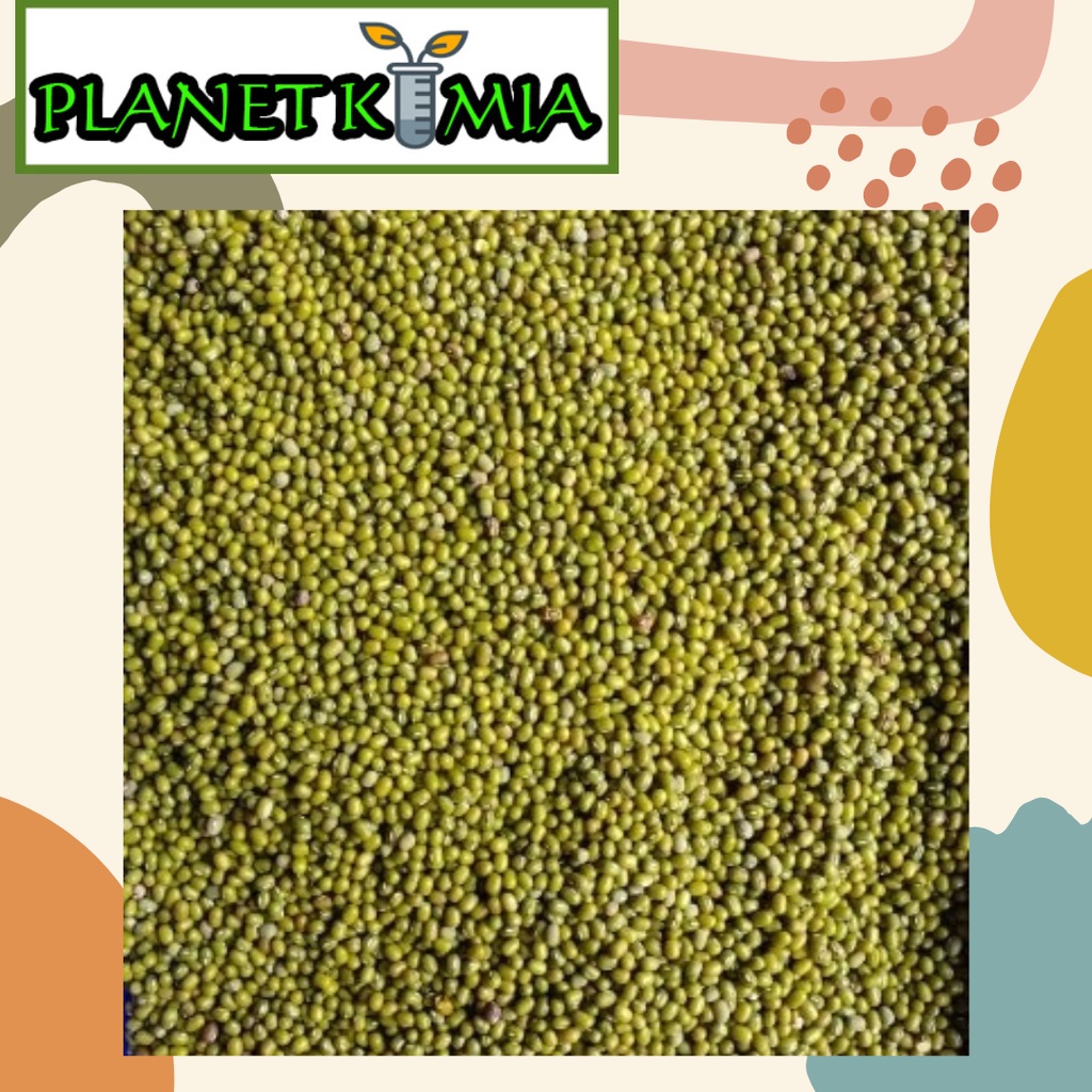 

Kacang Hijau Yulek Birma 500 gr dan 1000 gr Best Quality MURAH MERIAH!!!