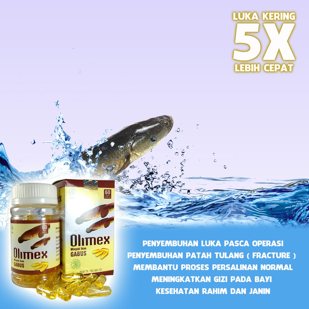 Minyak Ikan Gabus Olimex Minyak Albumin Obat Luka Pasca Operasi Caesar Shopee Indonesia