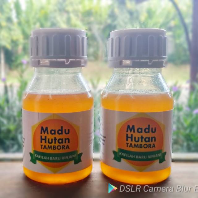 

Madu Hutan Tambora