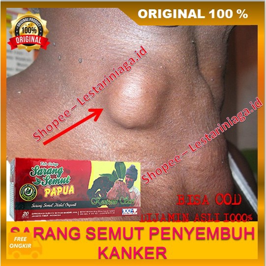 

BELI 1 GRATIS 1 Teh Sarmut Papua Menghempaskan Benjolan ORIGINAL