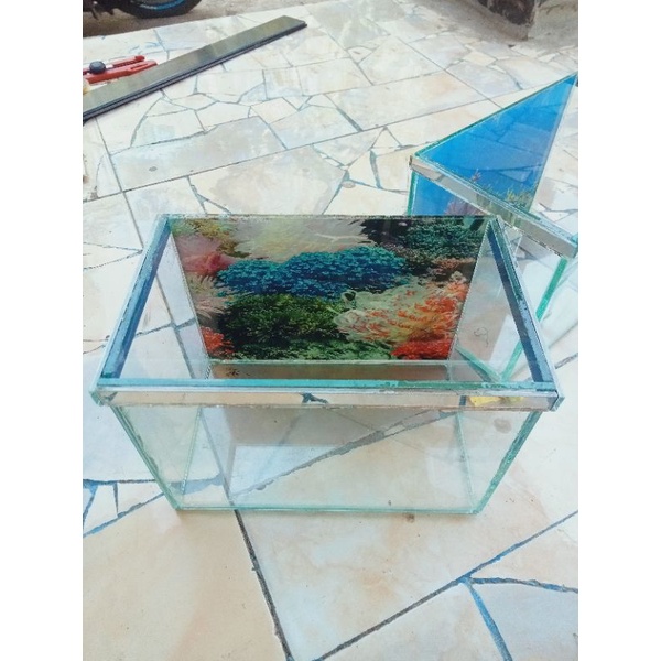 Soliter/aquarium,kecil,aquarium,cupang
