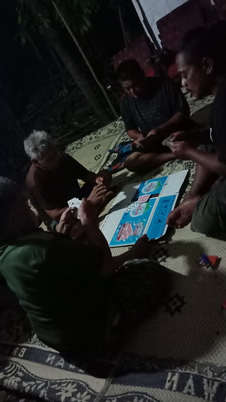 Redfox Pompa Semprot Hama Manual 16 L Tengki/tangki Semprot Hama Pompa Solo Rf-16m