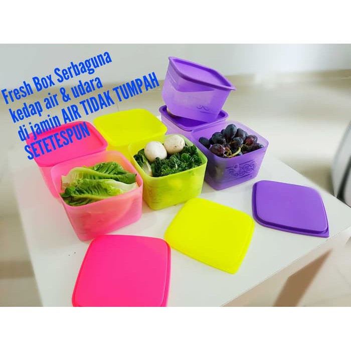 

Fresh Box serbaguna /kotak makanan/Grosir minimum 6pcs warna random