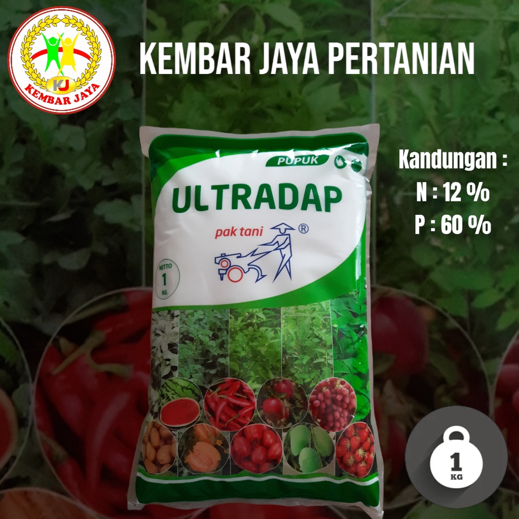 Pupuk ULTRADAP, Phospat Tinggi
