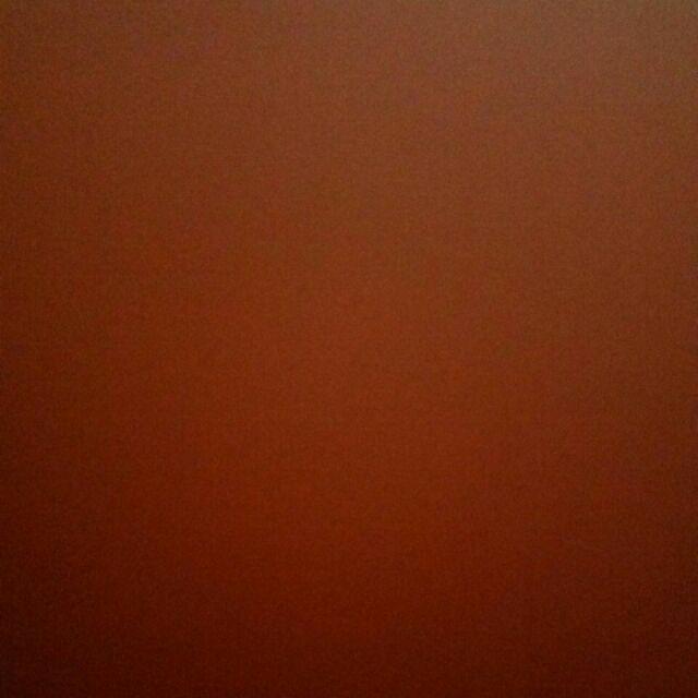 Faaz Pembersih 500ml 2 Pcs Free Kuas