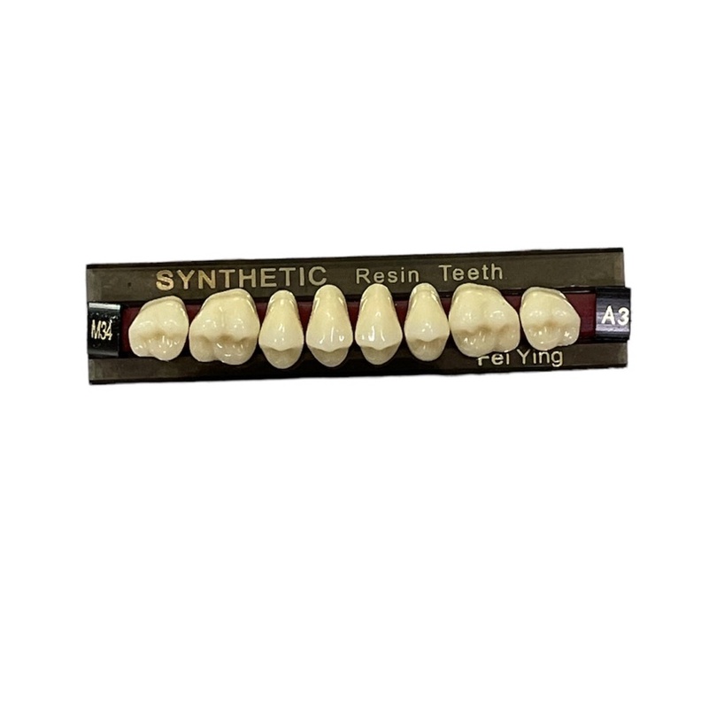 1 strip gigi palsu Posterior / Belakang / Geraham YP SYNTHETIC | artificial acrylic teeth akrilik muldent