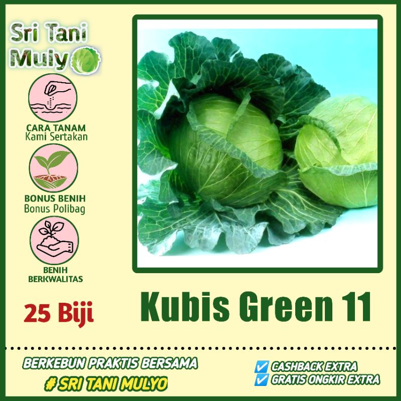 25 biji - Benih Sayur Sayuran Kol/Kubis Kolbis (Mudah Tumbuh) bibit / benih sayur HAGA TERJANGKAU MU