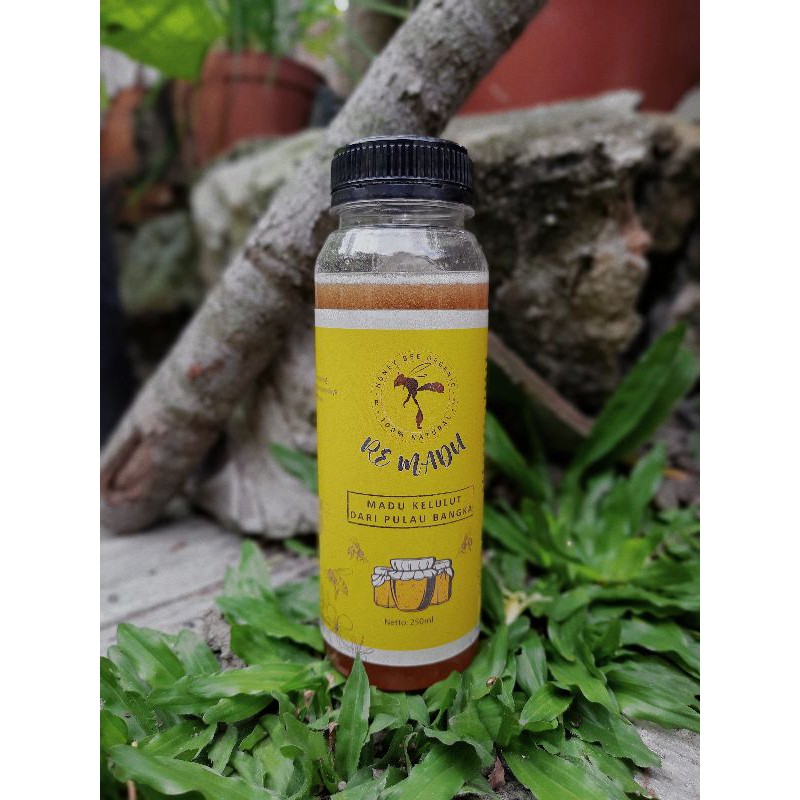 

Madu Kelulut Asli
