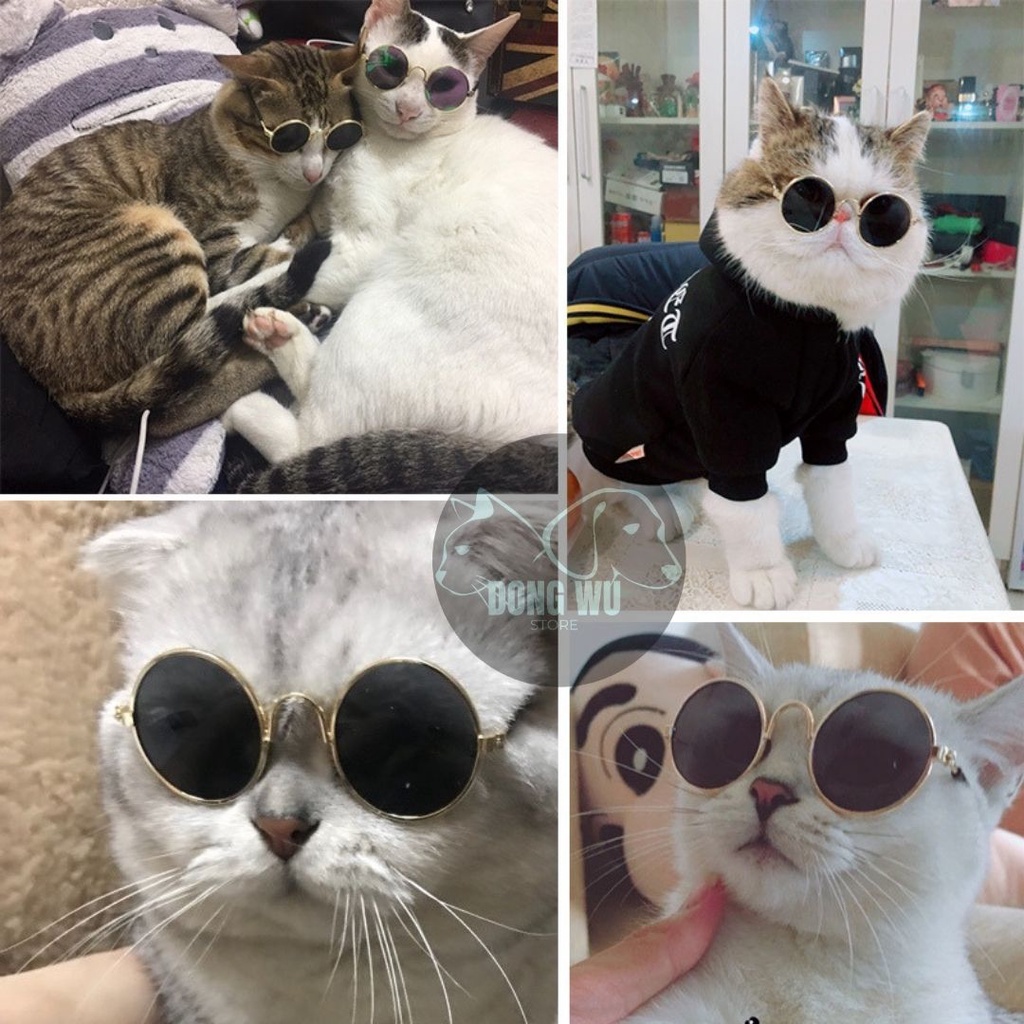 DONGWU KACAMATA HEWAN KUCING ANJING - KACAMATA GAYA KEREN AKSESORIS HEWAN FASHION FOTO PET SUNFLASSES