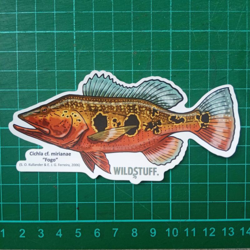 Sticker Wildstuff - Peacock Bass Cichla mirianae Fogo