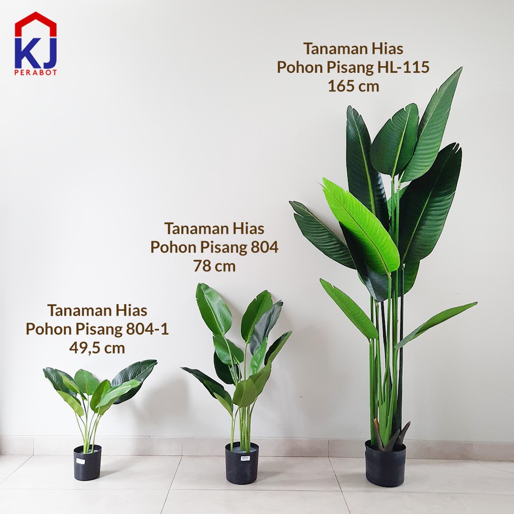  TANAMAN HIAS POHON PISANG 804 1 49 5CM Shopee Indonesia