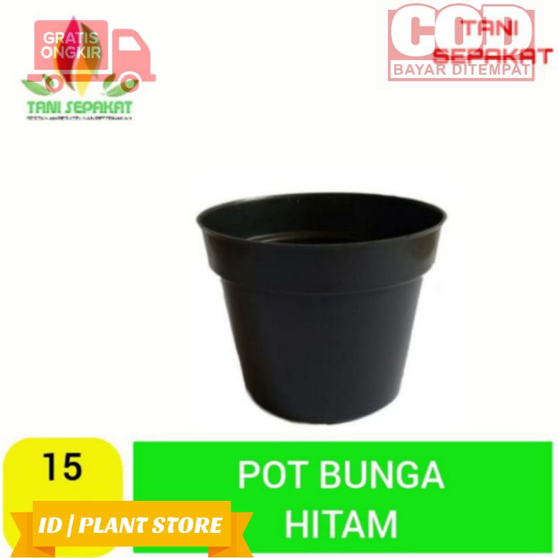 Pot bunga hitam ukuran 15cm-pot plastik hitam-pot bunga