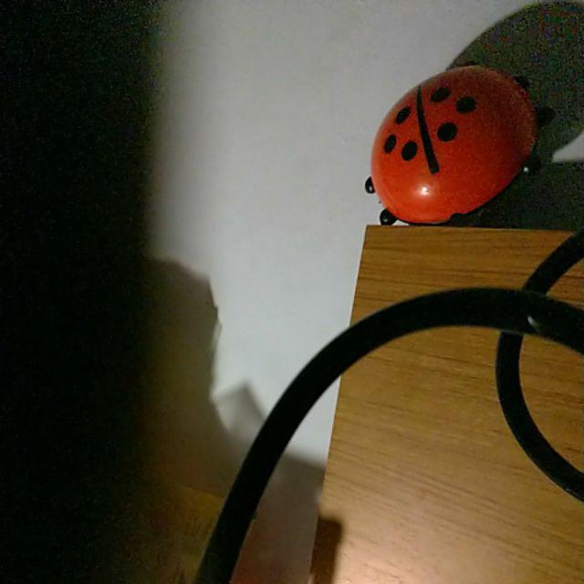 Holder Kumbang Tempat Sikat Gigi Dan Odol