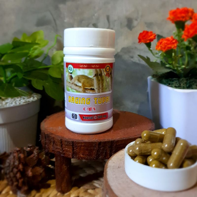 

Daging Tupai Kapsul Herbal Daging Tupai Isi 60 Kapsul Daging Tupai Original 100%