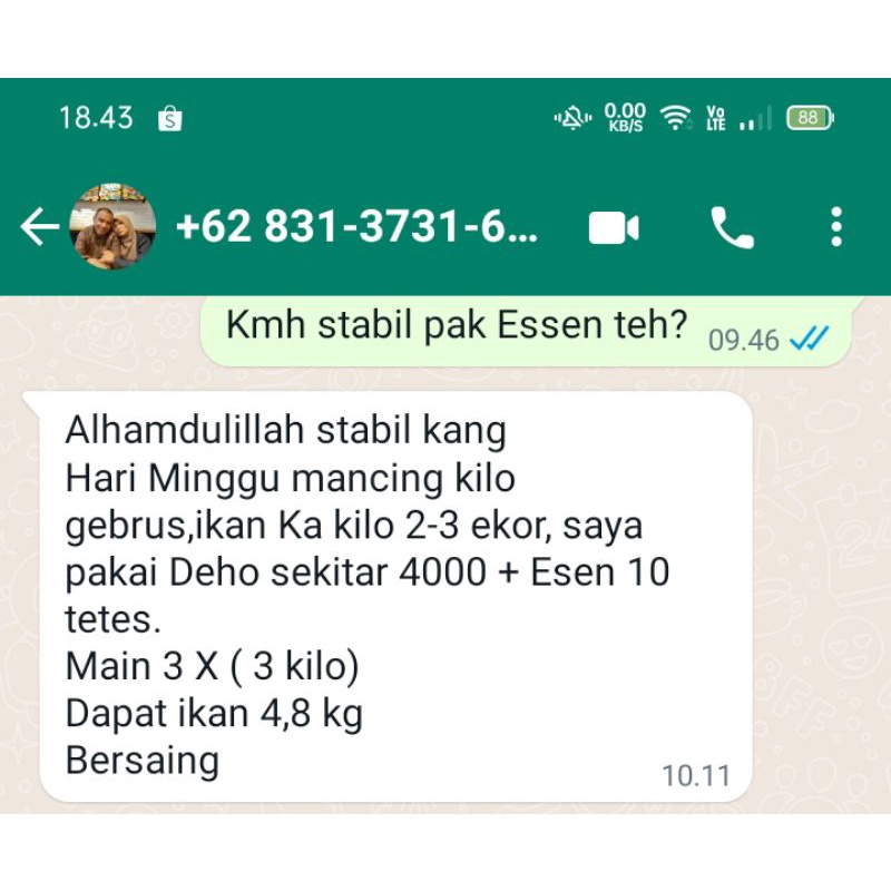 Essen Gacor Untuk Lomba Mancing Ikan Mas Harian, Essen Paling Bagus Untuk Mancing Ikan Mas, Essen Terbaik, Essen Ikan Mas Terbaik, Essen Ikan Mas Paling Bagus Untuk Lomba Mancing, Essen Ikan Mas Galapung, Essen Ikan Mas Untuk Hanyiran