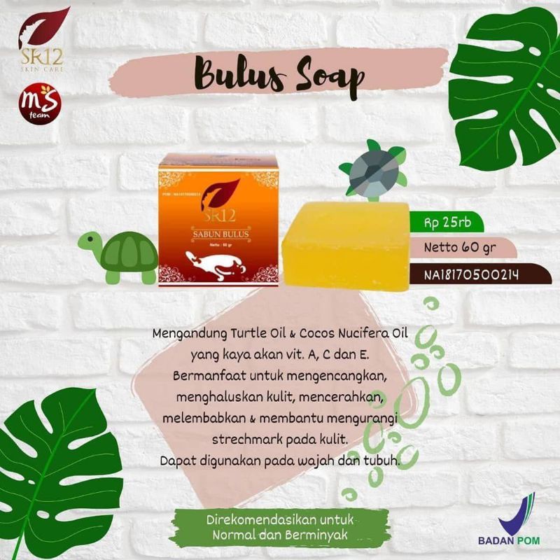 sabun bulus Sr12 pembesar payudara