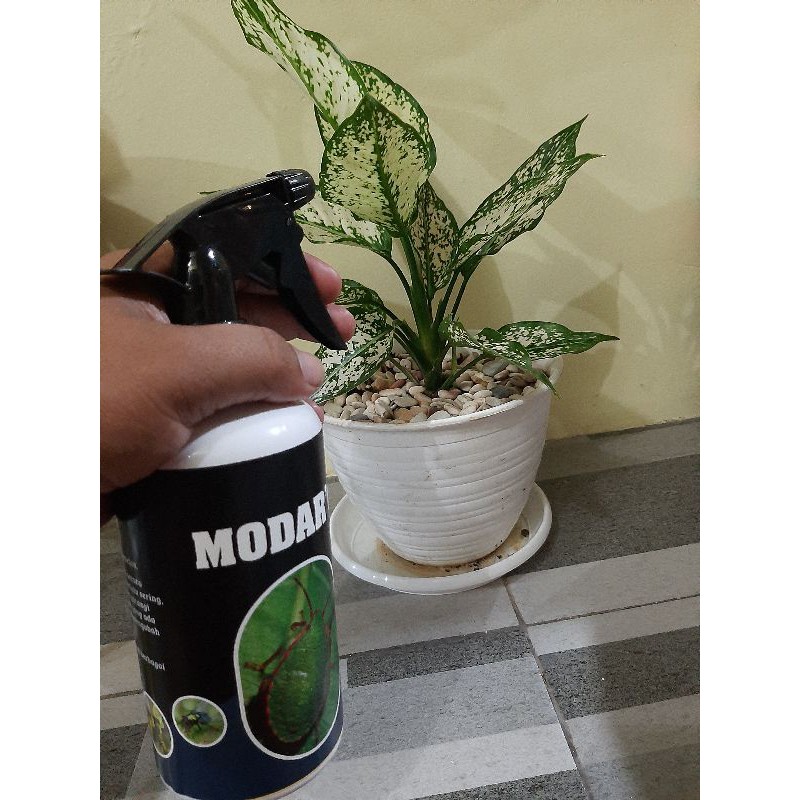 Insektisida Semprot Modar'O 500ml Siap Pakai Praktis dan Efisien