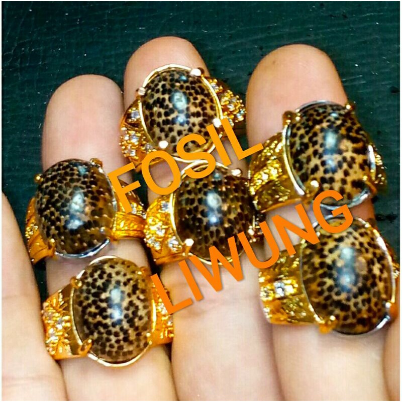 Batu Cincin Batu Fosil Kayu Liwung