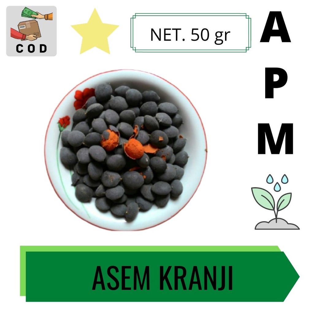

Asem Kranji 50 Gram - Buah Asem Kranji Segar Murah - Agen Asem Kranji - Buah Herbal Baik Alami
