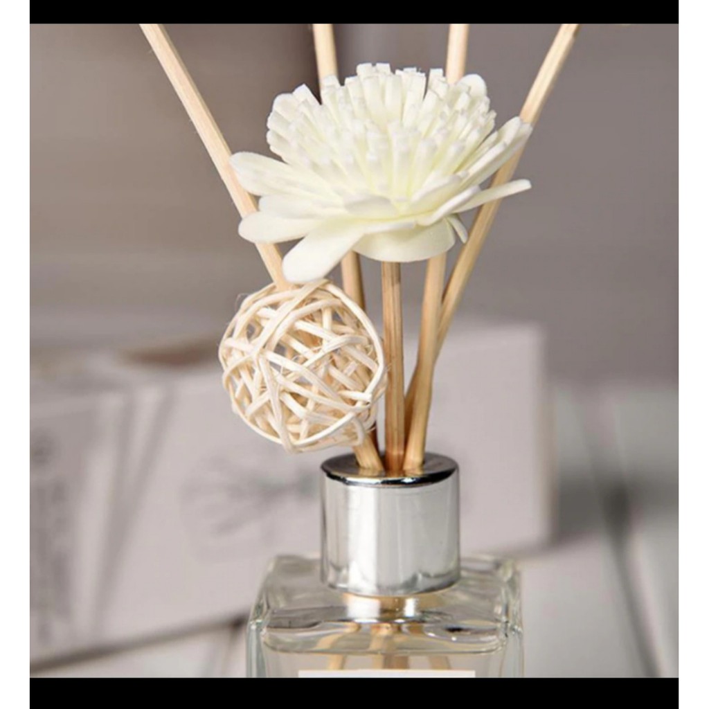 Aroma Terapi Pengharum Ruangan