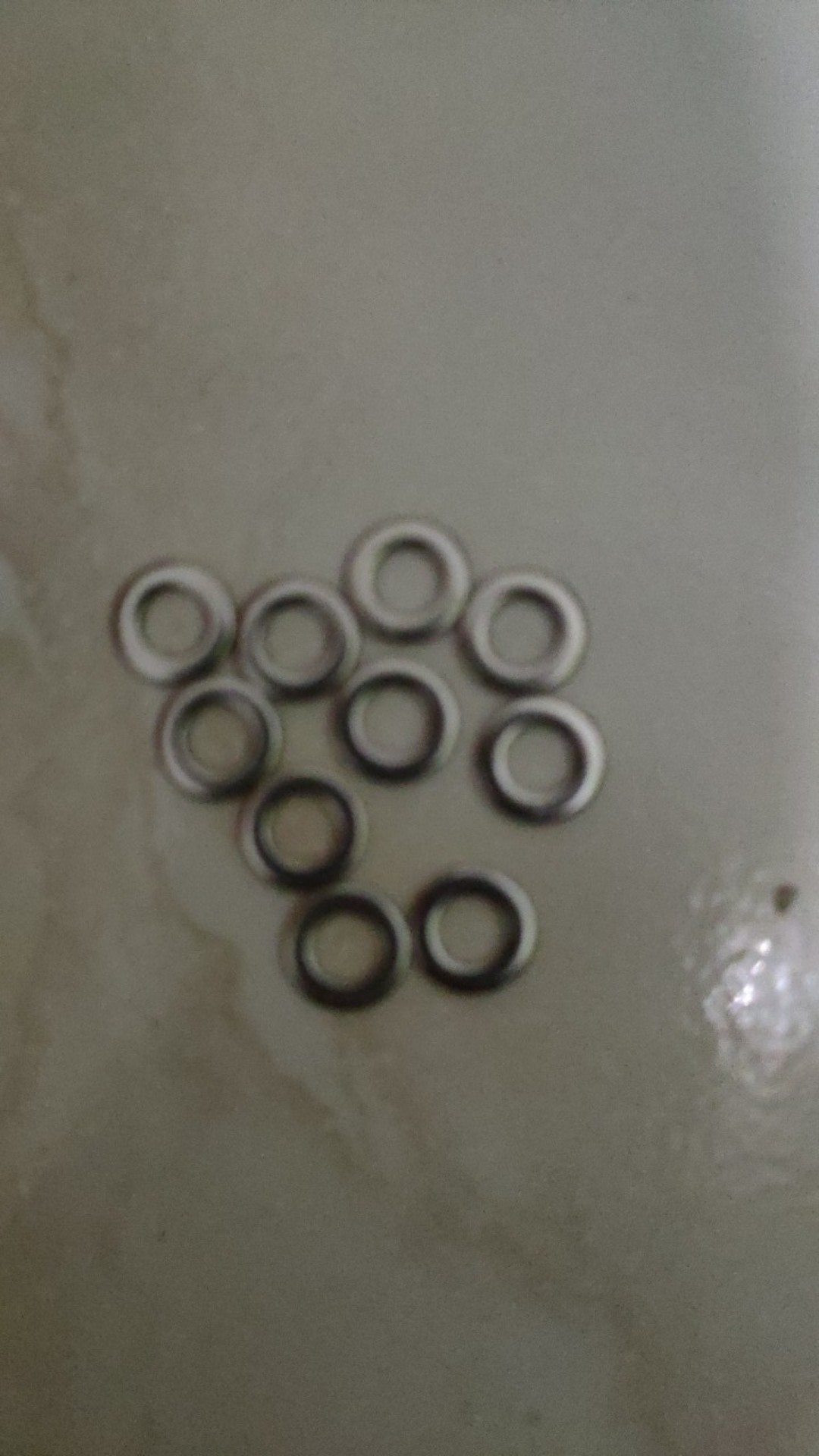 (isi 10pcs) Ring Pir Ver M6 Stainless Steel Ss304