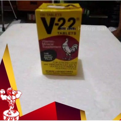 TERLARIS Vitamin ayam V22 import