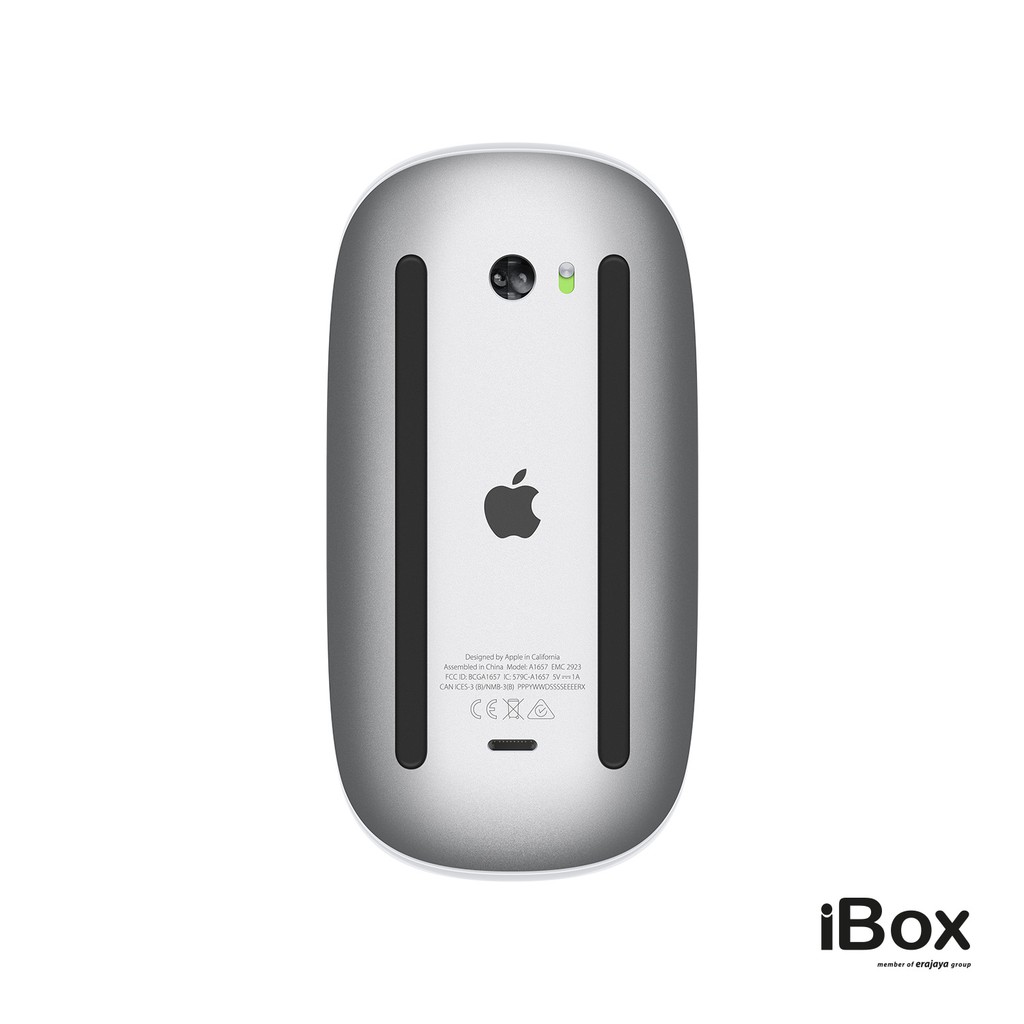 Apple Magic Mouse, Silver (2021)-1