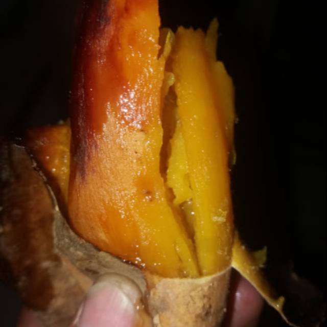 

Ubi Cilembu Siap Santap