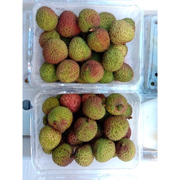 

Lemoci Leci madu Fresh Enak Manis