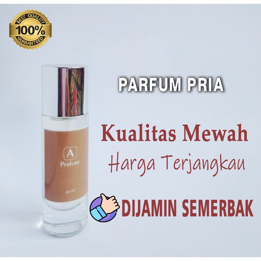 Parfum ISI ULANG Pria Premium 30ML | PARFUM INSPIRED PREMIUM| PARFUM MURAH | PARFUM PRIA TERBAIK | P