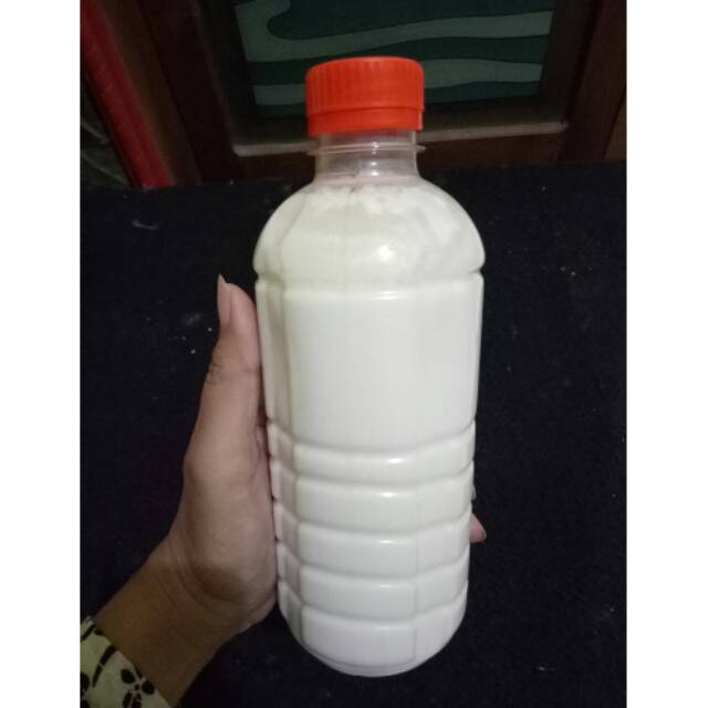 

SUSU KEFIR SAPI