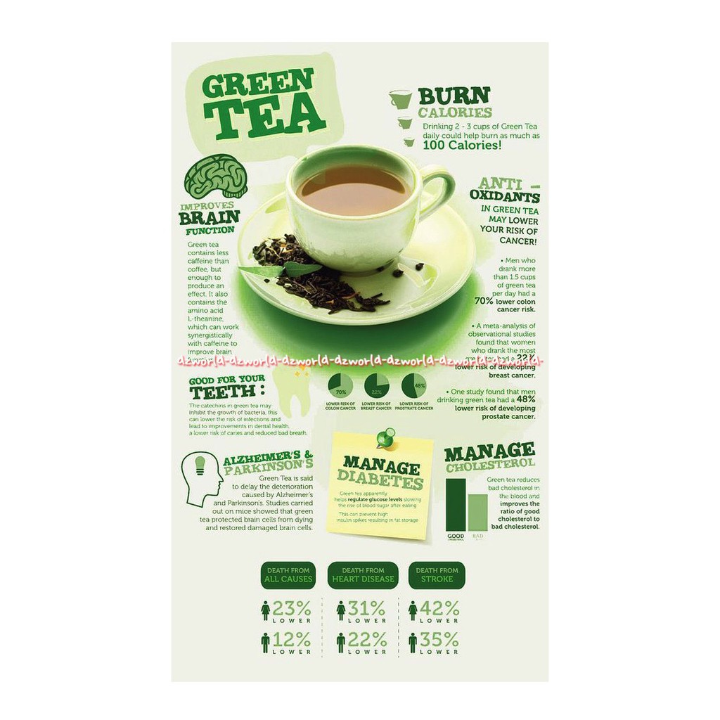 Dilmah Green Tea Jasmine 20 Tea Bag Dil Mah Rasa Melati
