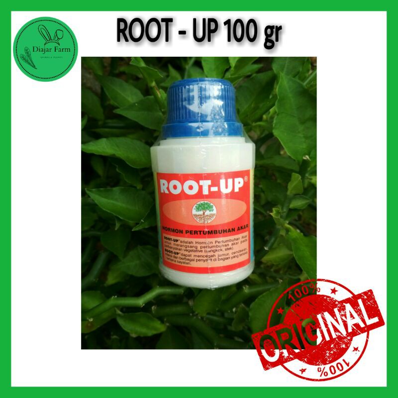 ROOT UP Hormon ZPT 100gr - Zat Pengatur Tumbuh Perangsang Akar