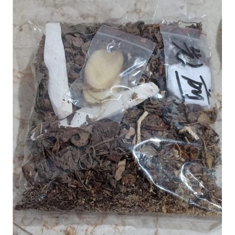 jamu untuk pengobatan Covid - Fei PaiDu Tang - Ramuan Kesehatan Paru-Paru