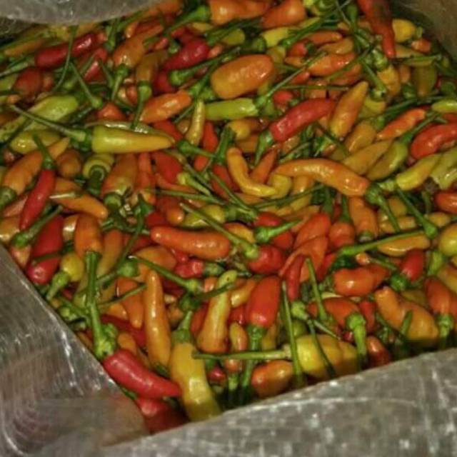 

Cabe rawit 100 gram