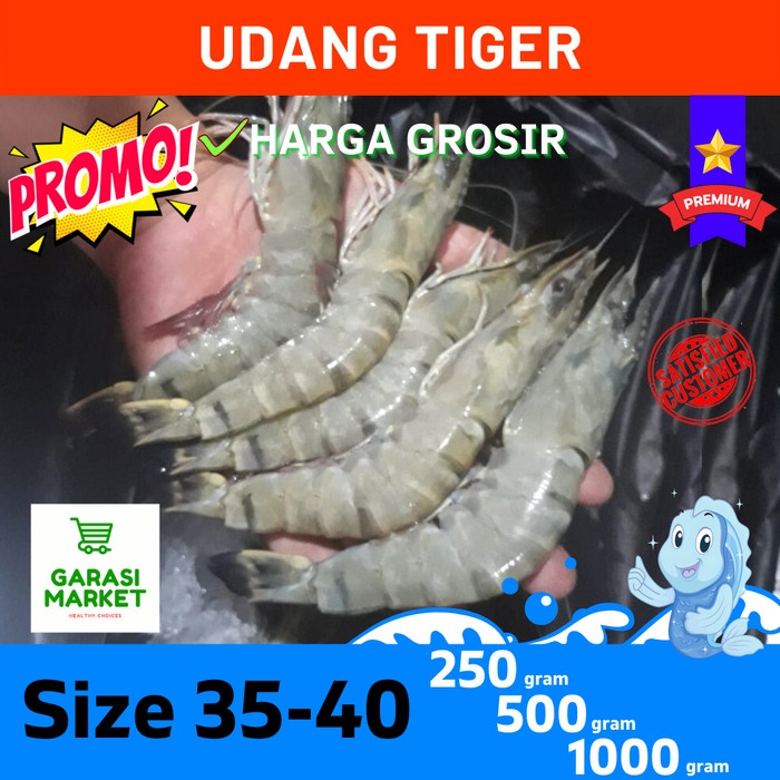 Udang Tiger Udang Windu Pancet Segar Frozen Fresh 1Kg Size Besar Super