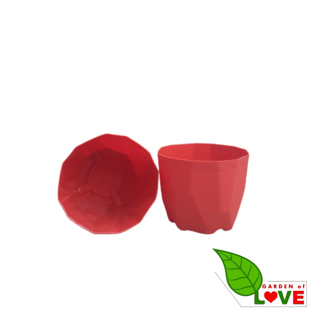 Pot Permata 12 Warna Warni Putih Merah Bata Da 10.5cm Pot Kaktus Mini Murah Bkn Pot Tawon 10 12