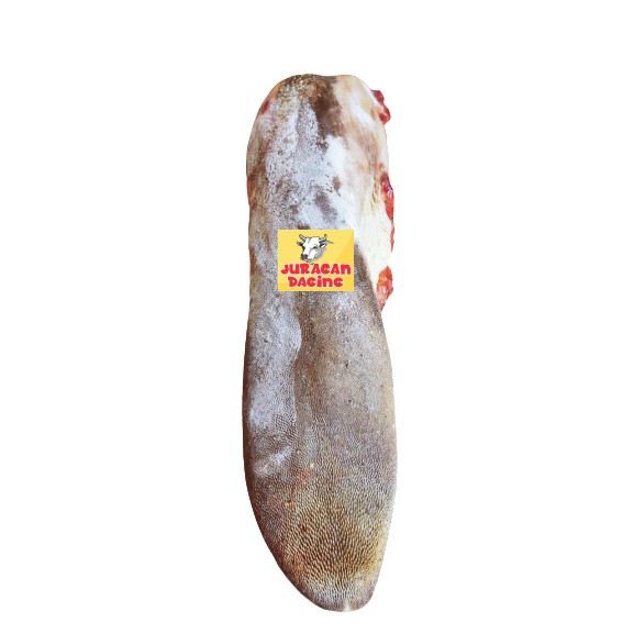 

Lidah Sapi Premium Quality