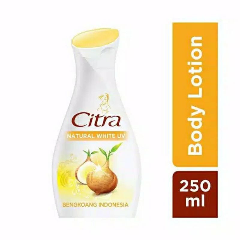 CITRA Hand and Body Lotion  Bengkuang 230ml