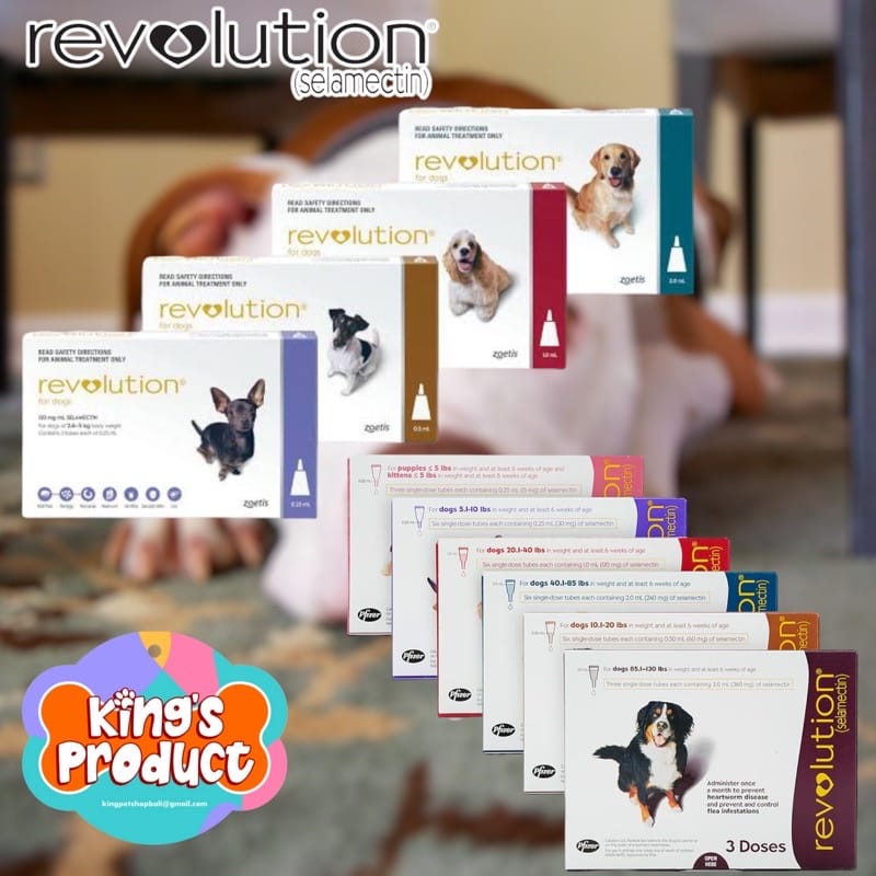 REVOLUTION DOG TEAL (2.0ML) 240MG (PER-PCS)