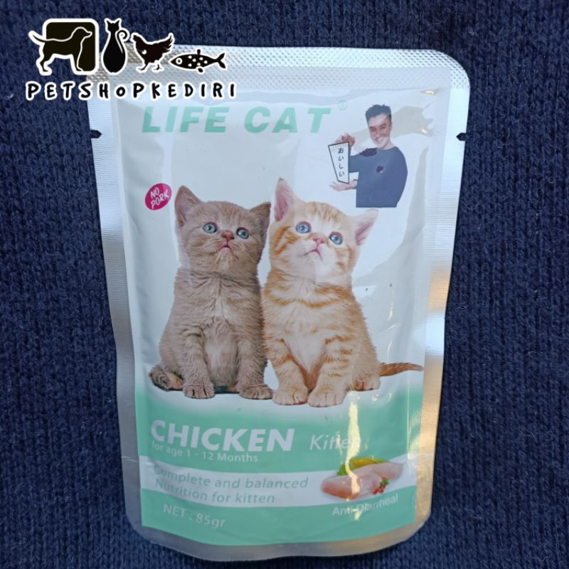 LIFE CAT CHICKEN KITTEN