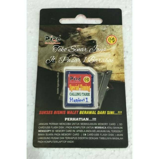 Suara Panggil Piro Asli Walet