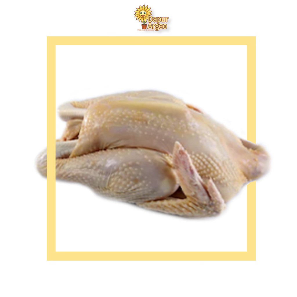 

Ayam Kampung Utuh Asli 1 Ekor Ukuran 1Kg-1,1Kg FRESH/ FROZEN
