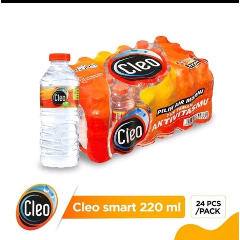 

Cleo Smart Air mineral 220ml (Pack isi 24 btl)