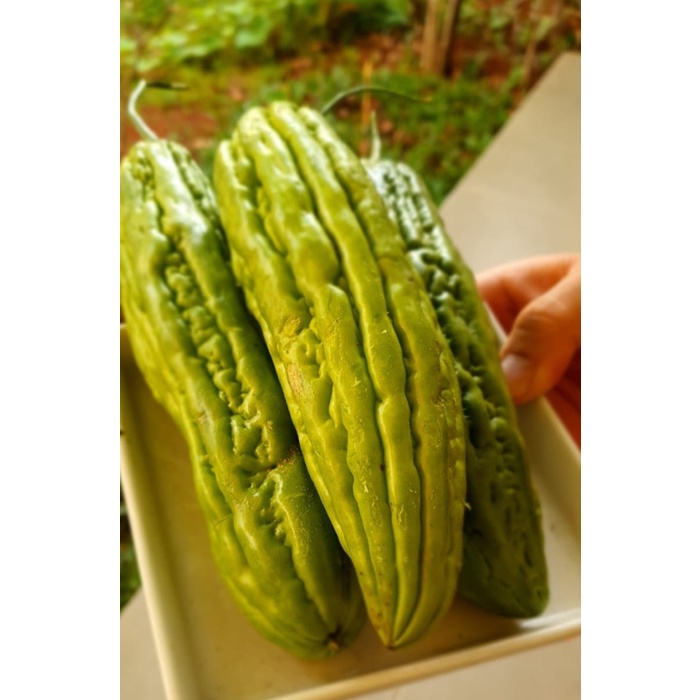 

Sayur Pare 500gr