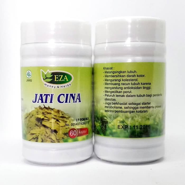 

Kapsul Jati Cina Eza | Melangsingkan Tubuh