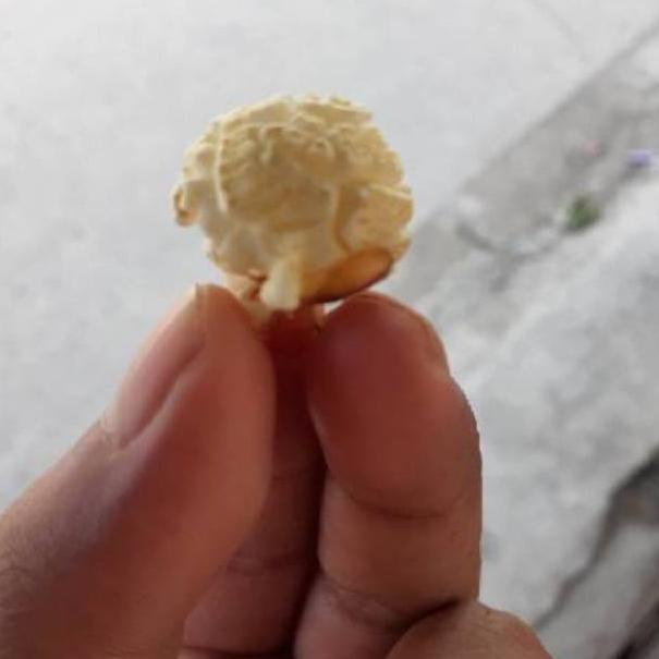 

[KODE BARANG W3948X] JAGUNG POPCORN MUSHROOM JUMBO 1KG