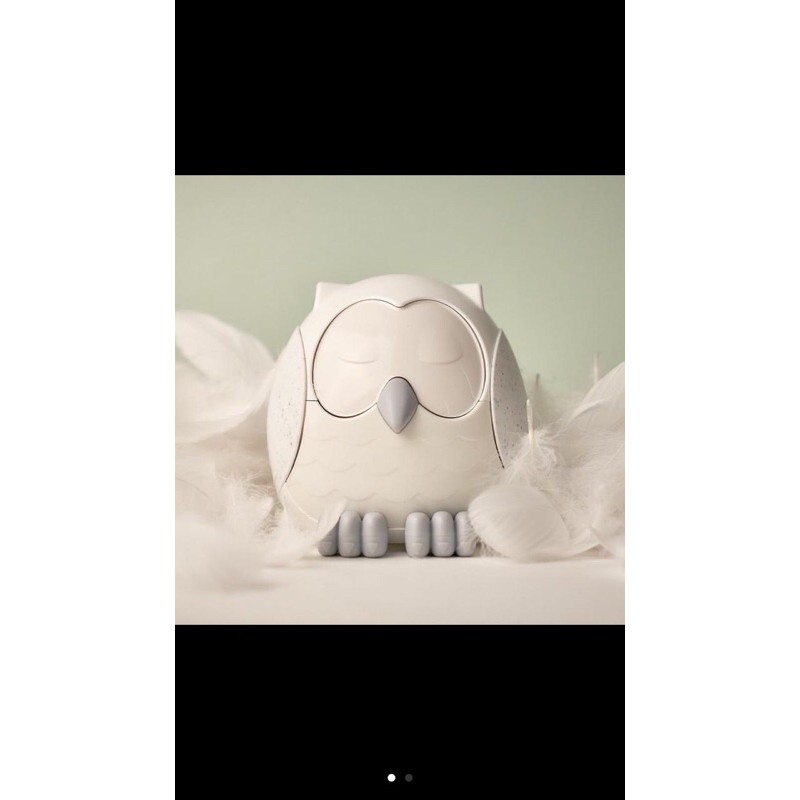 snowy owl diffuser young living