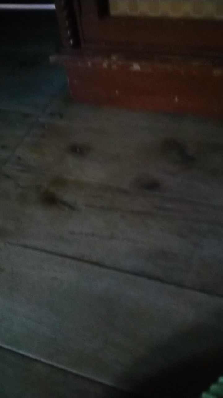 Cuankie Tahu Isi 50 Pcs Toping Baso Aci