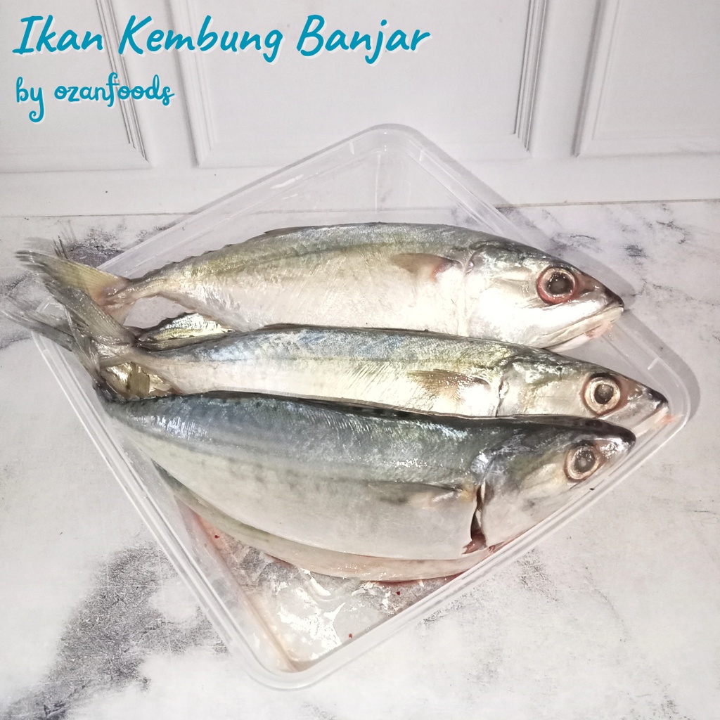 

Ikan Kembung Banjar 1 kg